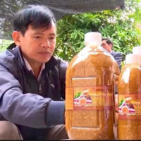 Tương Nếp Tuyến Loan - 2000ml