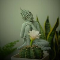 Tượng Phật An nhiên