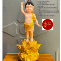 Tượng Phật Đản Sanh Màu Vàng , Dáng Đứng, cao 30cm Tuệ Tâm