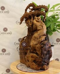 Tượng Phật Di Lặc Cây Tùng Gỗ Cẩm TMDL 13