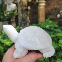 Tượng rùa đá trắng đá Non Nước