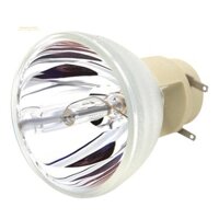 Tương thích W1070 W1070 + W1080 W1080ST HT1085ST HT1075 W1300 Bóng đèn máy chiếu 240 / 0.8 E20.9N cho