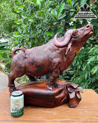 Tượng Trâu Gỗ Trắc Nguyên Khối Cao 46 Ngang 46 Sâu 23 (cm)