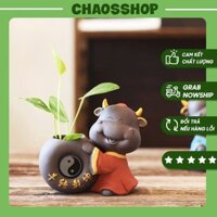 Tượng trâu (tân sửu) ⚡ Mẫu Mới ⚡ Chậu trồng cây cầu phú quý CHAOSSHOP