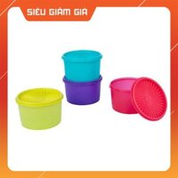 Tupperware - Bộ hộp bảo quản thực phẩm Midi Deco 4 hộp