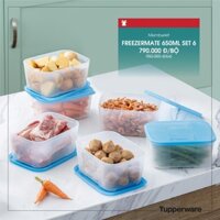 Tupperware - Bộ Hộp Trữ Đông Freezermate 650ml (6 Hộp)