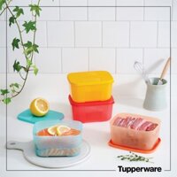 Tupperware Bộ Hộp Trữ Đông Rainbowl 650ml/hộp