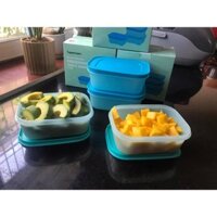 Tupperware - Hộp trữ đông kiêm trữ mát thế hệ 2 450ml 1 hộp