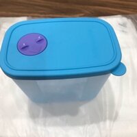 Tupperware - hộp trữ đông pocket freezermate 820ml nắp có nút ghi nhớ