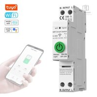 Tuya WiFi Thông Minh Tự Động Đóng Cửa Bảo Vệ Đa Năng Hiện Tại Giám Sát Điện Áp Đồng Hồ Đo Công Suất Bảo Vệ Giá Trị Có Thể Đặt Điện Thoại Di Động Điều Khiển Ứng Dụng Tương Thích Với Alexa