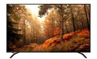 TV LED 4K 60 (1)