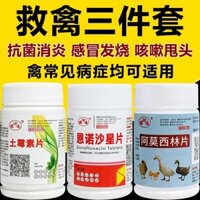 [Tỷ lệ đánh giá khen ngợi 93%] Bộ ba mảnh cứu hộ chim Vịt gà Ngỗng không thể chết Gà Y học Bách khoa toàn thư Gà hen suyễn Sốt 2 trong 1 0330