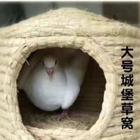 [Tỷ lệ khen ngợi 90%] Tổ Vịt Cole Mùa Đông Ấm Tổ Cỏ Gà Ngỗng Tổ Chó Thú Cưng Nước Ngoài Trời Nhà Nhỏ Sản Phẩm Đa Năng 0225 ~ 25