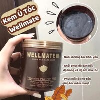 ủ tóc wellmate