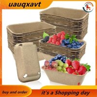 [Uauqxavt] 50 Gói Giỏ Berry Bằng Sợi Bột Giấy Để Chọn Trái Cây, Giỏ Berry Đúc Cho Quả việt quất Raspberry Cherry Dâu