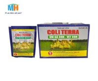 ÚM GÀ ,VỊT CON COLITERRA MINH HUY