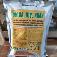 Úm gà, vịt ngan 1kg úm gia cầm non khỏe mạnh, nhanh lớn, mượt lông, ngoại hình đẹp (có túi nhỏ bên trong).