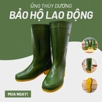 Ủng bảo hộ lao động Thùy Dương - Ủng đi mưa - Bền đẹp