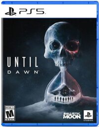 Until Dawn