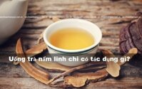 Uống trà nấm linh chi có tác dụng gì? 6 Lợi ích khi uống trà linh chi