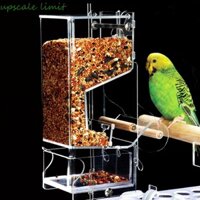 Upscale LIMIT Chim Ăn Parakeet Cockatiel Canary Acrylic Lồng Phụ Kiện
