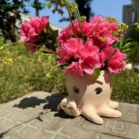 upscale limit Upscale LIMIT Chậu hoa bạch tuộc, Chậu hoa mọng nước thủ công dễ thương, Giá đỡ hoa Nhựa chống thấm nước Chậu trồng cây độc đáo Nhà bếp