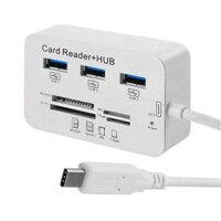 USB 3.1 Loại C COMBO 3 cổng HUB + Đầu đọc thẻ MS DUO / SD (HC) / M2 / T-Flash với đèn LED chỉ báo (Bạc)