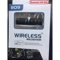 USB bluetooth audio VSP-B09 – Cái