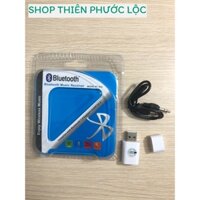 USB BLUETOOTH PT-810 KẾT NỐI ÂM THANH AMPLY