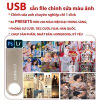 USB chỉnh màu ảnh 1 click với bộ 1400 Preset dùng trong PHOTOSHOP và LIGHTROOM