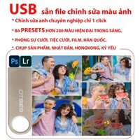 USB chỉnh màu ảnh chuyên nghiệp với bộ 200 Preset VIP dùng trong PHOTOSHOP và LIGHTROOM