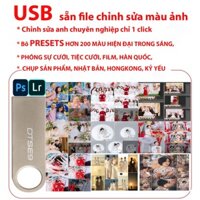 USB chỉnh sửa ảnh chuyên nghiệp với bộ 200 Preset VIP và 1200 Preset sưu tầm dùng trong PHOTOSHOP và LIGHTROOM