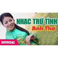 USB KARAOKE ĐẶC SẮC CHO TIVI, Ô TÔ
