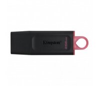 USB Kingston 256GB DTX