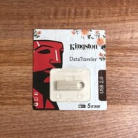 USB Kingston DataTraveler DTSE9 8GB