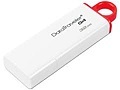 USB Kingston DTIG4 32Gb