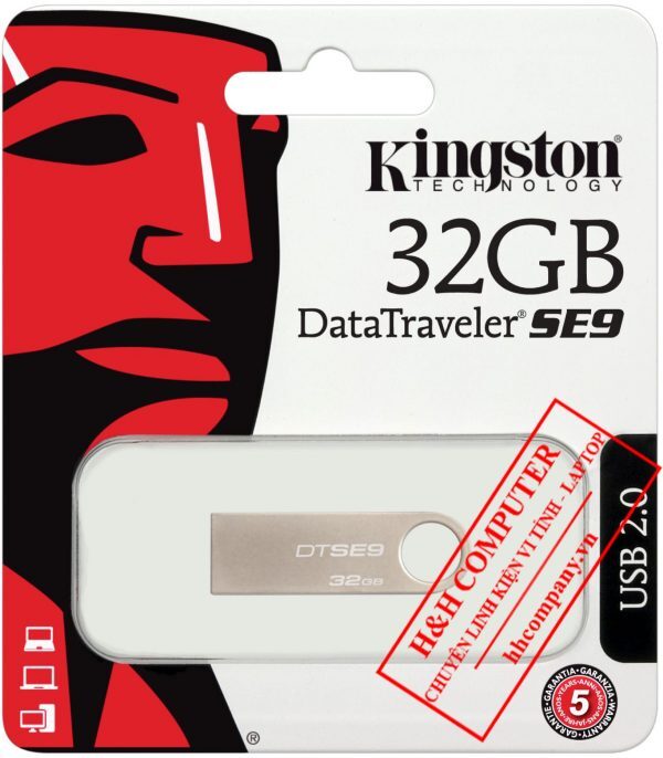 USB Kingston DTSE9 32Gb