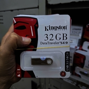 USB Kingston DTSE9 32Gb