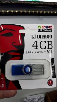 USB KINGTON 4GB