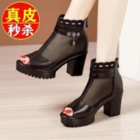 Ưu đãi đặc biệt của thương hiệu giày dép lưới miệng cá cho Nữ Giày La Mã gót vừa Gót Thô mẫu mới mùa hè 2024 dép đế giữa không thấm nước