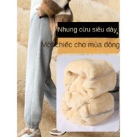 Ưu Đãi Mới Bán Chạy Quần Thể Thao Lông Cừu Dày Dặn Lót Nhung Cho Nữ Quần Bó Gấu Học Sinh Màu Xám Kiểu Mới 2024 Mùa Thu