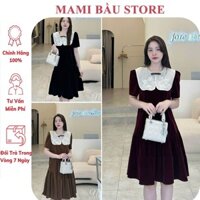 [V513] ĐẦM VÁY BẦU CÔNG SỞ DÁNG SUÔNG ĐUÔI CÁ CỔ PHỐI HOA TIỂU THƯ - ĐẦM BẦU NHUNG DỰ TIỆC CỰC XINH FREESIZE