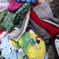 Vải c vải cân Hồng Hạnh