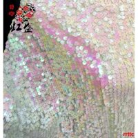 Vải kim sa kim tuyến lấp lánh cầu vồng loại vảy nhỏ làm phông nền background chụp ảnh studio may váy đầm chụp sản phẩm