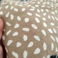 Vải nhung lan phương đức anh