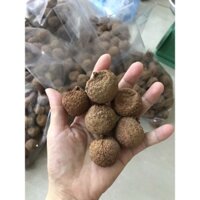 VẢI SẤY Lục Ngạn-Bắc Giang