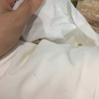 Vải voan lụa trắng