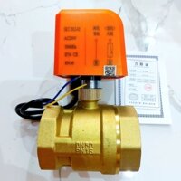 VAN BI ĐIỆN 02 DÂY DN50 REN 60 LOẠI TỐT [TIÊU CHUẨN CE]