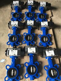 VAN BƯỚM KHÍ NÉN 2 CHIỀU HÀN QUỐC SW DN80