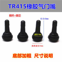 Van cao su ô tô, Lốp xe tải, vòi bơm hơi, vòi bơm hơi, vòi bơm hơi đầu lớn, Vòi phun chân không bằng đồng nguyên chất TR4151.3